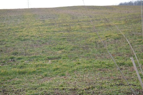 Property photo 44 - 98+/- Acres Offered in 6 Tracts or Combinations, Noble County, Indiana Farm
